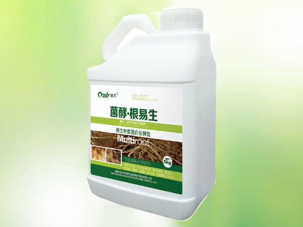 根易生