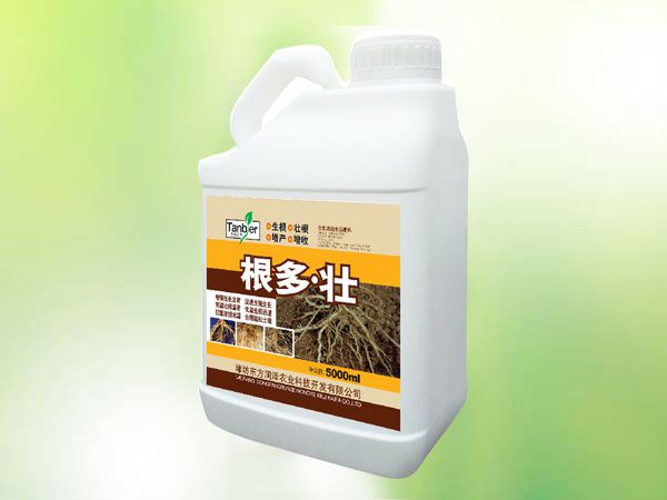 根多壮